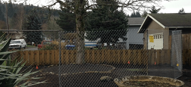 tree protection plan for portland